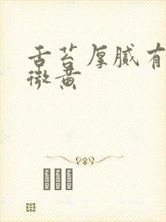 舌苔厚腻有裂纹微黄