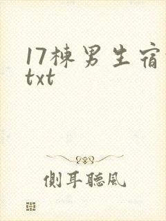 17栋男生宿舍txt