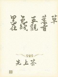 黑色五叶草免费在线观看