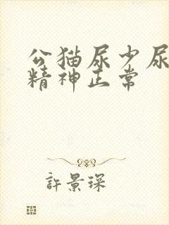 公猫尿少尿频但精神正常