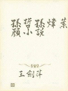 孙哲孙炜叶巧朱颜小说