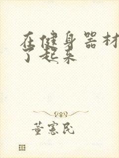 在健身器材上做了起来