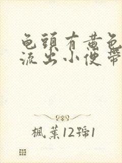 龟头有黄色脓液流出小便带疼痛