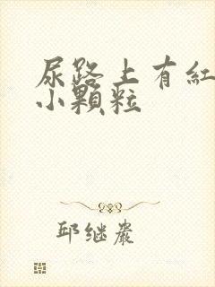 尿路上有红色的小颗粒