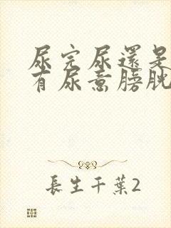 尿完尿还是感觉有尿意膀胱酸胀