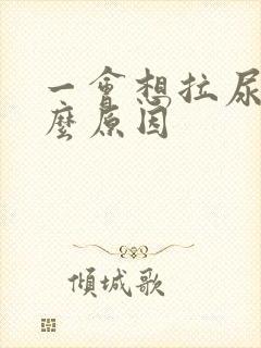 一会想拉尿是什么原因