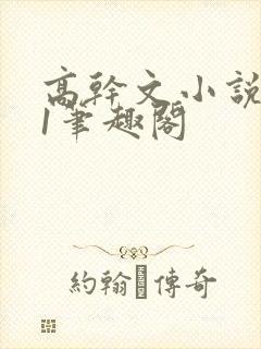 高干文小说1v1笔趣阁