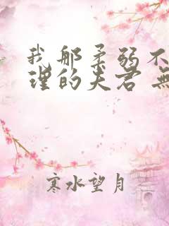 我那柔弱不能自理的夫君 无弹窗