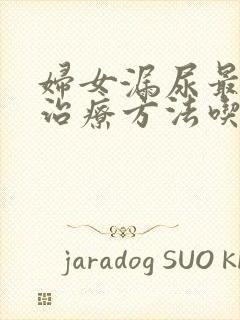 妇女漏尿最好的治疗方法吃什么药