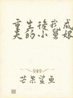 重生后我成了前夫的小舅娘