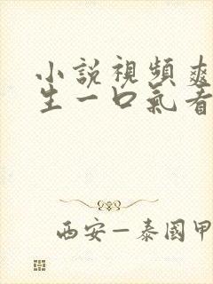 小说视频爽文重生一口气看完