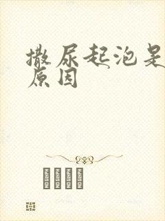 撒尿起泡是什么原因