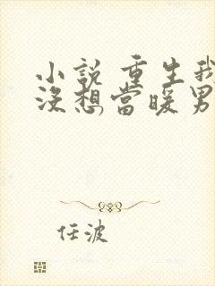 小说 重生我真没想当暖男