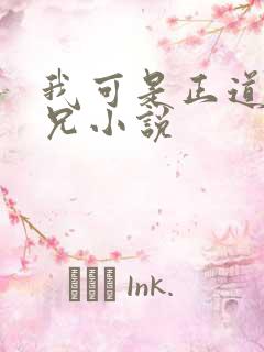 我可是正道大师兄小说
