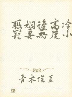 联姻后高冷总裁宠妻无度小说免费阅读