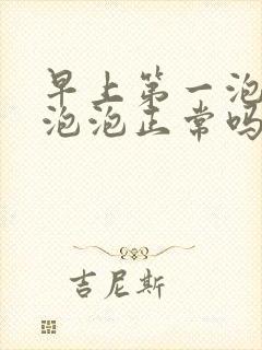 早上第一泡尿有泡泡正常吗