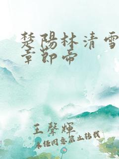 楚阳林清雪最新章节帝