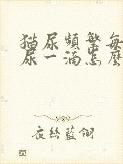 猫尿频繁每次只尿一滴怎么治疗吃什么药