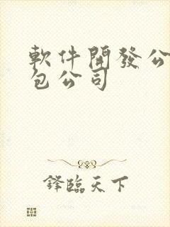 软件开发公司外包公司