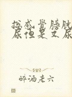 总感觉膀胱里有尿但是又尿不干净