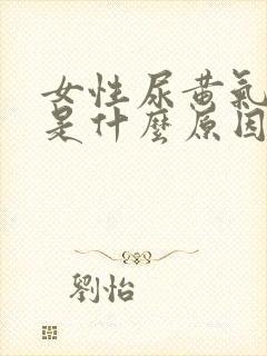 女性尿黄气味大是什么原因引起的