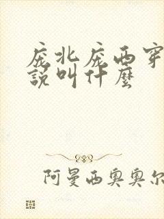 庞北庞西穿越小说叫什么