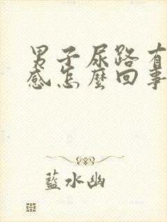 男子尿路有刺痛感怎么回事