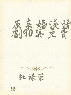 原来婚浅情深短剧90集免费观看