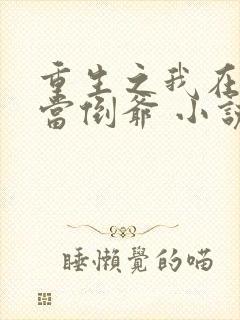 重生之我在末世当倒爷 小说