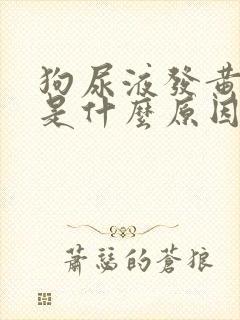 狗尿液发黄很稠是什么原因