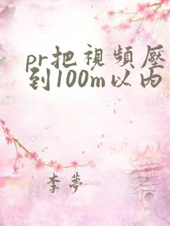 pr把视频压缩到100m以内