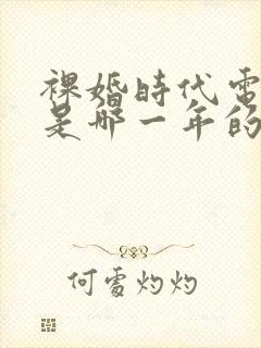 裸婚时代电视剧是哪一年的