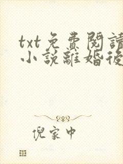 txt免费阅读小说离婚后前夫总是想追我