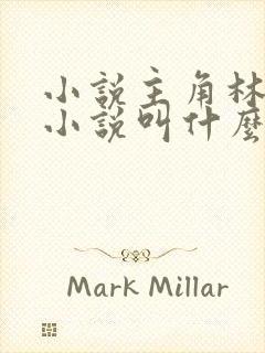 小说主角林辰的小说叫什么