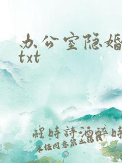 办公室隐婚全集txt