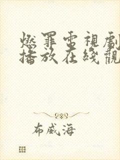 燃罪电视剧免费播放在线观看