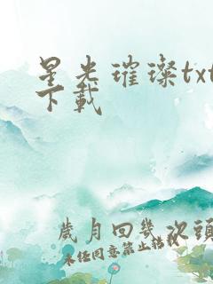 星光璀璨txt下载