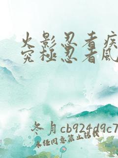 火影忍者疾风传究极忍者风暴4代充