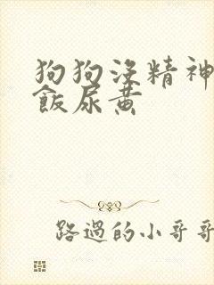 狗狗没精神不吃饭尿黄