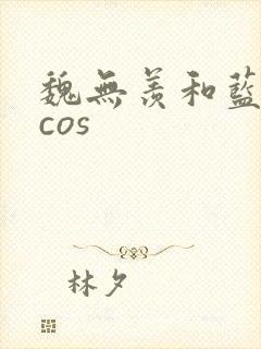 魏无羡和蓝忘机cos