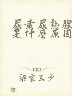 尿黄尿热腥臭味是什么原因