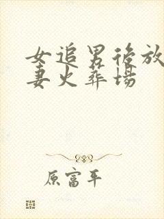 女追男后放弃追妻火葬场