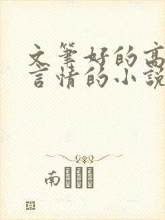 文笔好的高质量言情的小说