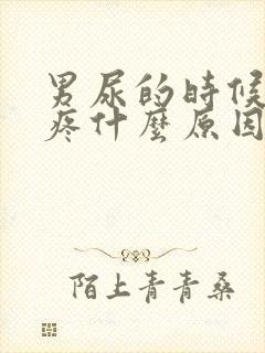 男尿的时候有点疼什么原因