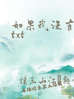 如果我没有爱过txt