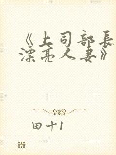 《上司部长出轨漂亮人妻》中字