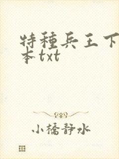 特种兵王下载全本txt
