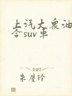 上汽大众油电混合suv车