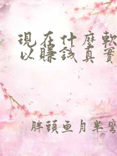 现在什么软件可以赚钱真实可靠