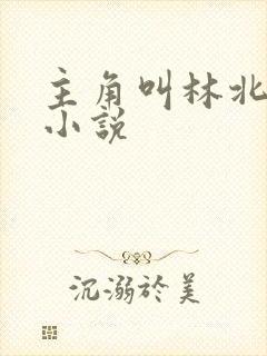 主角叫林北玄的小说